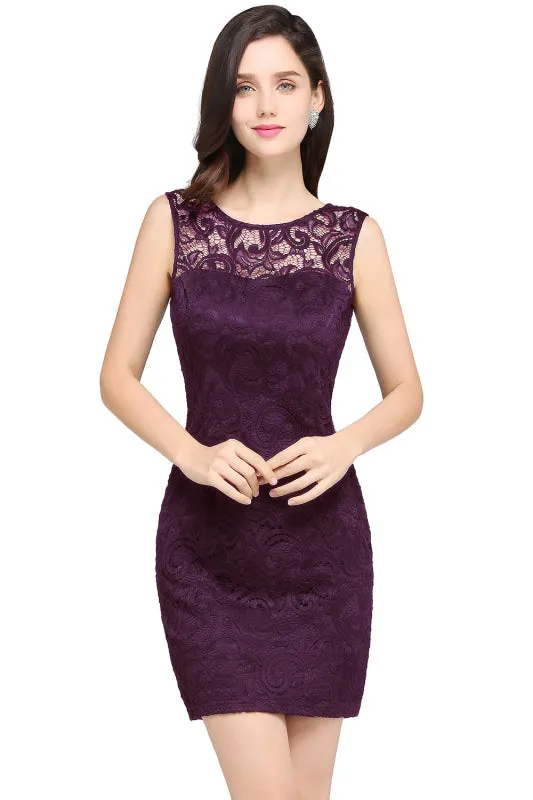 Charming Crew Neck Lace Mini Formal Dress Sleveless Short Dress